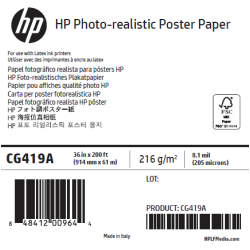 Papier Qualité Photo HP - 0,914 x 61 m - 205g