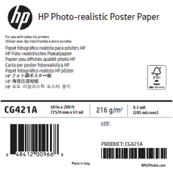 Papier Qualité Photo HP - 1,524 x 61 m - 205g