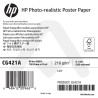 Papier Qualité Photo HP - 1524 mm x 61 m - 205g - CG421A